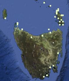 Tetragonia tetragonioides Distribution